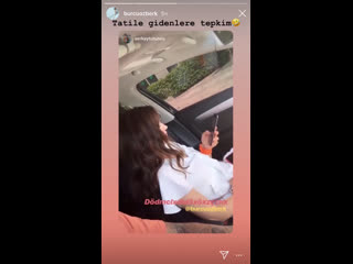 Сториз серкая