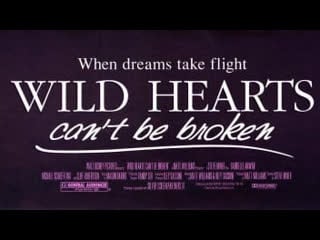 Храбрых сердцем не сломить / отважные сердца не разбиваются / wild hearts can't be broken (1991)