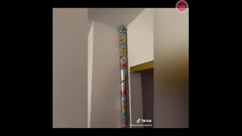 Перфекционист