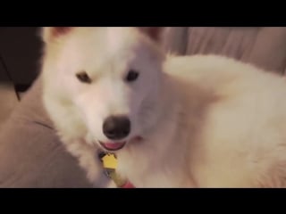 Chilling with a jedi knight! katja glieson w kyle rowling