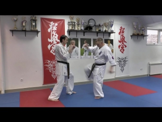 Wfko mawashi geri jodan kumite shihan alexei gorokhov lesson 2