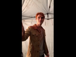 Инстасторис камилы