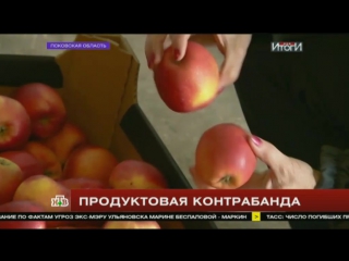 Какими путями в россию попадают молодые продукты из европы расследование нтв