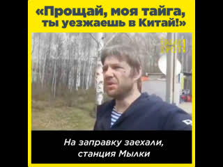 «прощай, моя тайга, ты уезжаешь в китай!»