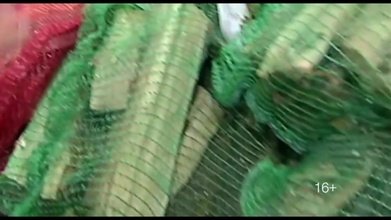 Quot voennaya tajna quot 5 noyabrya na ren tv (moscatalogue ru)