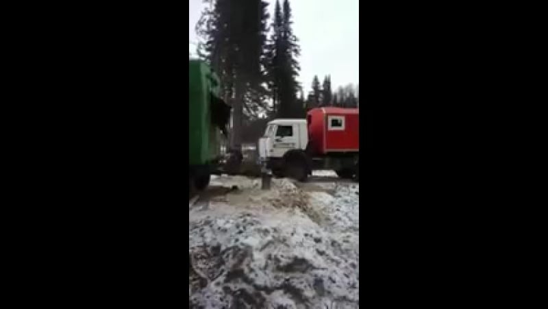 Вытаскиваем медведя