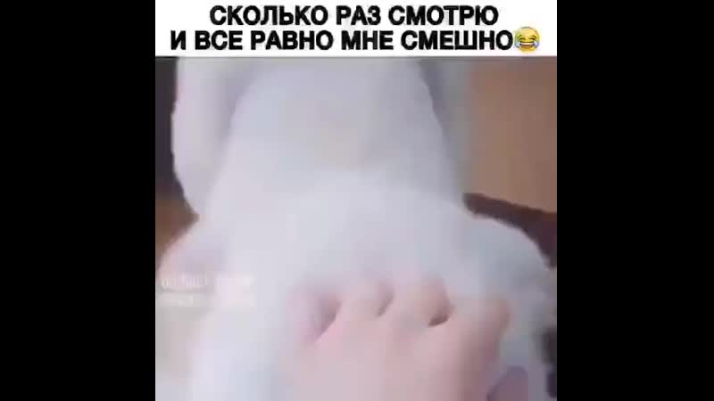 Mam smotri kakoj ebalaj rzhach spcs me mp4