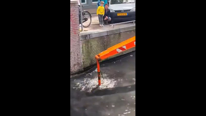 Голландские засранцы, их нравы