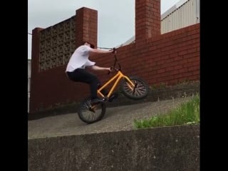 Mike curley | bmx