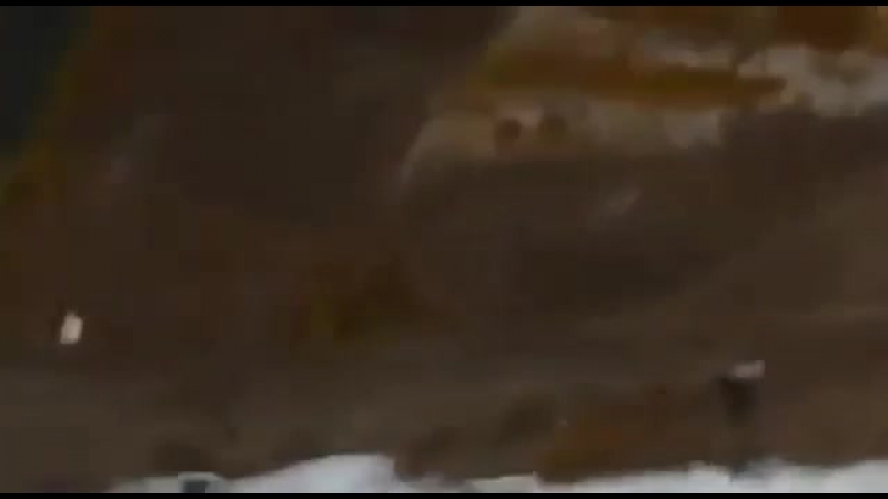 Ловля мышей