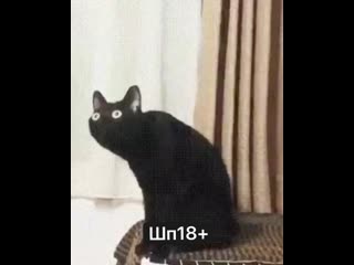 Большой, широкий рот