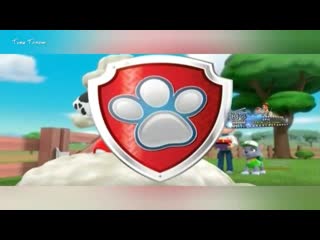 Paw patrol 《bintang emas》 [bahasa indonesia]