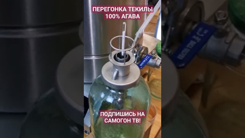 Вторая перегонка текилы 100% агава #текила #агава #перегонка #самогон