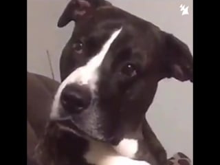 Sultan + shepard, nadia ali iro almost home (sons of maria remix)