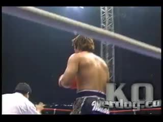 K 1 mirco crocop vs musashi avi