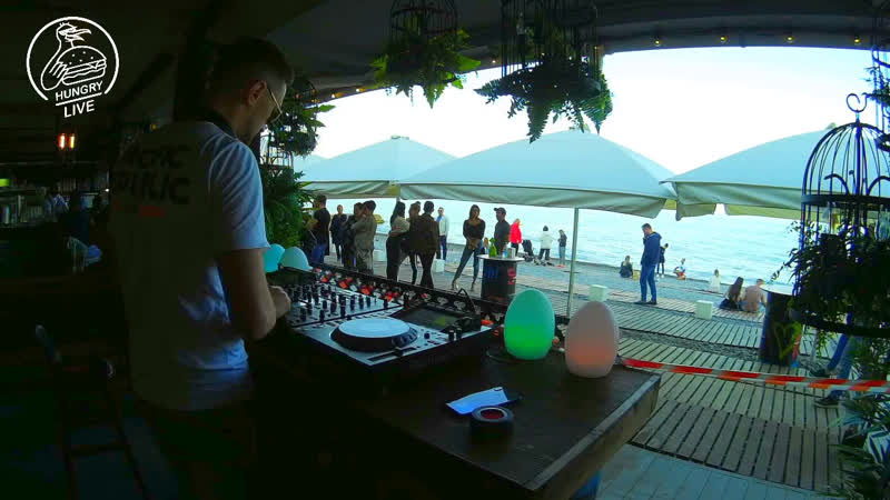 Hungry live arkada & zlat