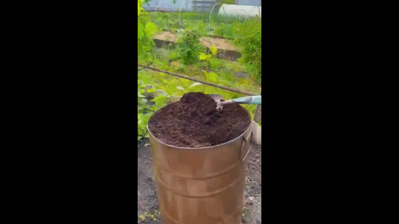 Огурцы в бочке