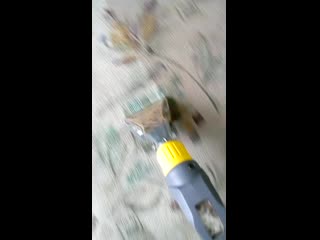 Vid 20200203 145734 mp4