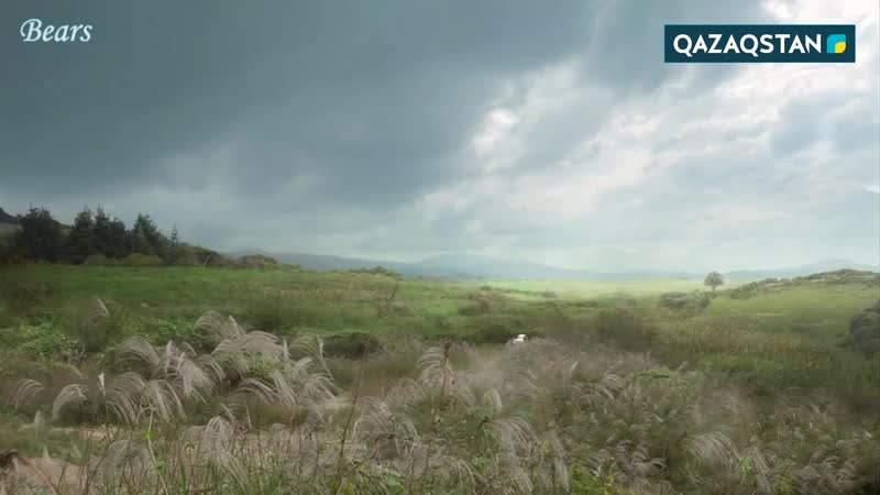 Ұлы әмірші куаң ге то қазақша 41 бөлім