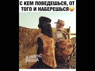 С кем поведёшься