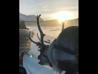 Beautiful winter scene from tromso ) video by matteo ducoli