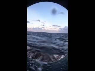 Alison sudol instagram story to antarctica #5