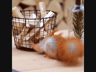 Любое препятствие преодолевается настойчивостью