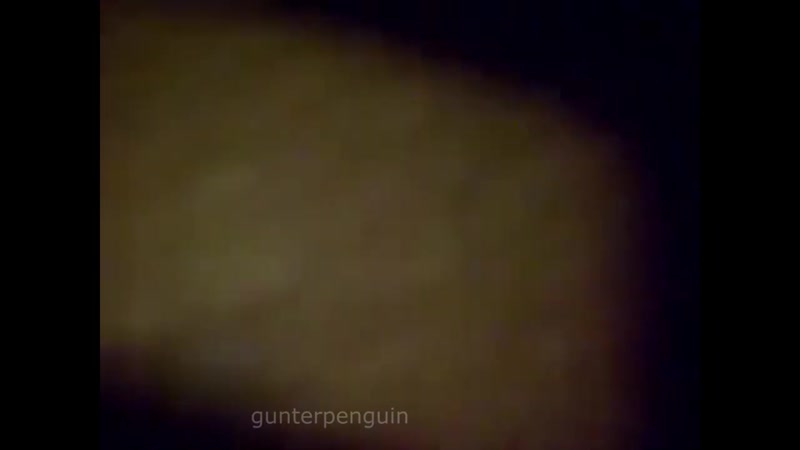 [gunter penguin] ты серому фотоаппарат прострелил