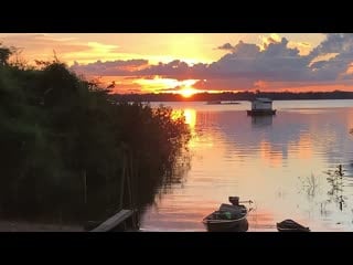 Pôr do sol na amazônia/ sons e imagens da natureza amazônica gravado pela fabíola