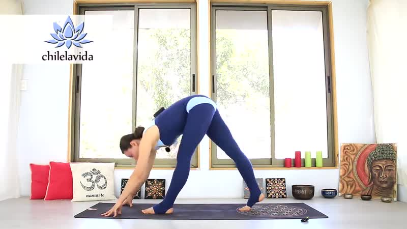 Sls растяжка на шпагат 20 минут, хорошая проработка chilelavida