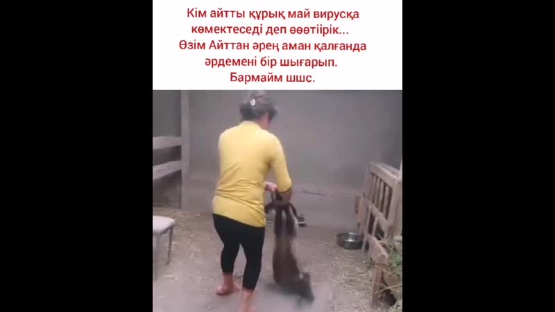 Базар porn video – Видео от кулан мал базар (кд 5)