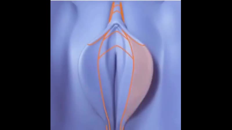 Лабиопластика – это операция пластической хирургии