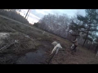 Тренироа байкджоринг витя, сеня, софа