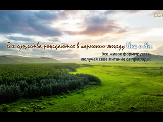 «китайская мудрость в изложении си цзиньпина» серия 5 «все существа рождаются в гармонии между инь и ян все живое формируется,