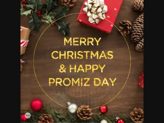 To pmzer merry christmas & happy promiz day