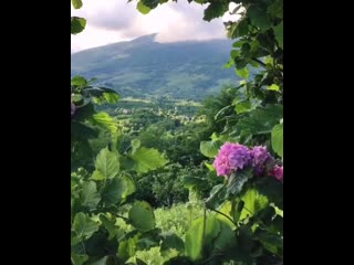 Insta abkhazia 20200606 235327 0 mp4