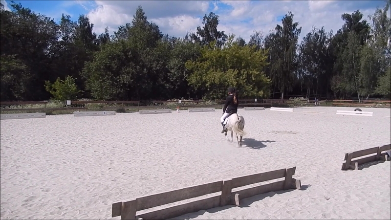 Тася и замира