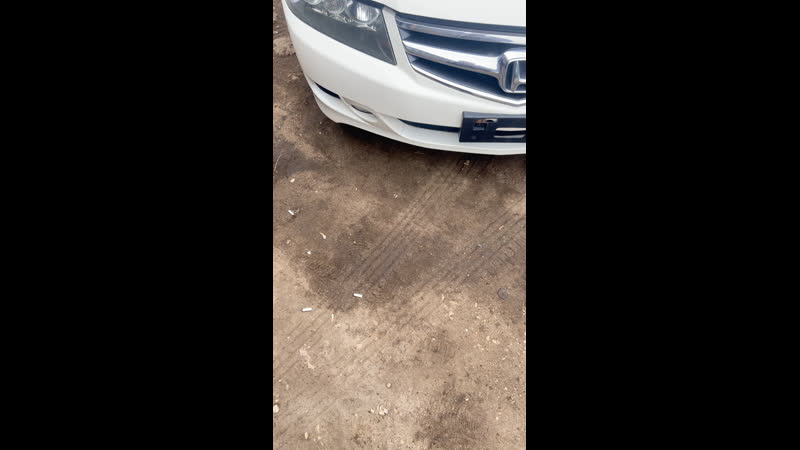 Live авторазбор "ангар"