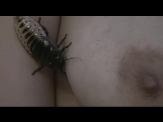 Гиппокампус монстры 21 века / hippocampus m 21th (2014)