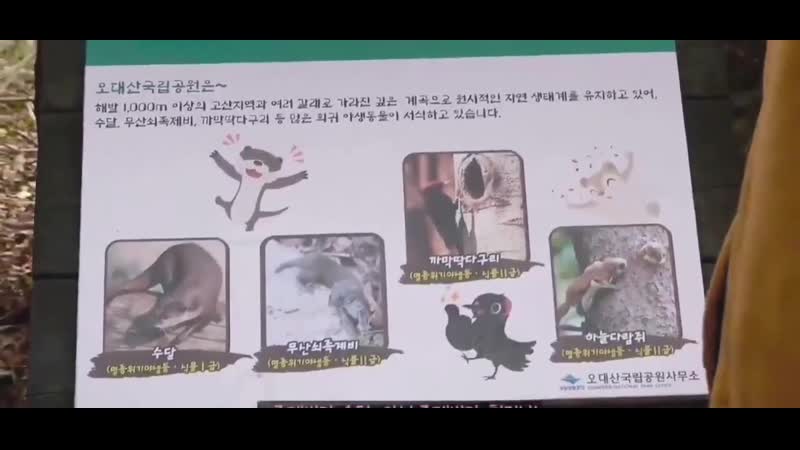 Changbin and his noona found an information board that has weasel and squirrel on it and changbin said oh! hyunjin is here! mean
