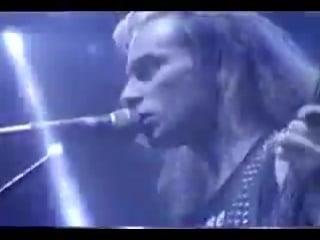 Coroner masked jackal