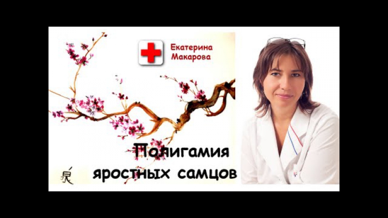 Полигамия яростных самцов