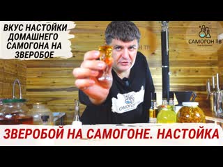 Настойка самогон на зверобое уникальный ус настойки после выдержки рецепт от дяди миши #настойка