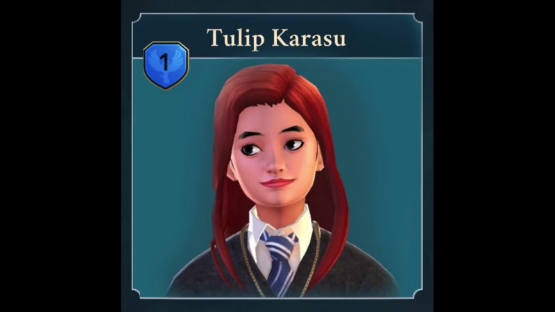 Harry potter hogwarts mystery tulip karasu