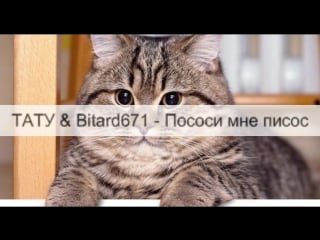 Пососи мне писос