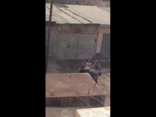 Секта прыгающих студенток