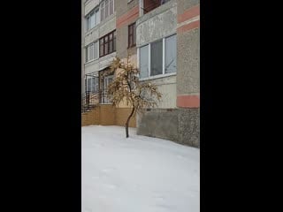 Vid 20210120 125332 mp4