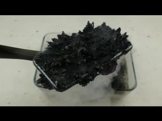 How does iphone 7 react to magnetic ferrofluid