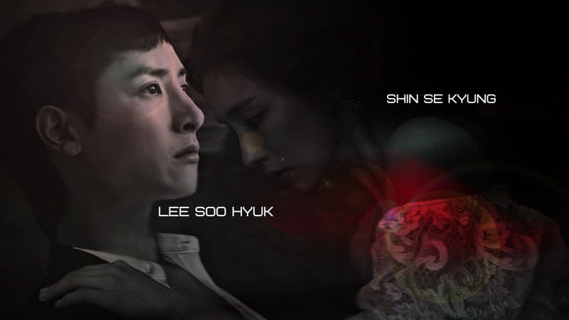 Lee soo hyuk/shin se kyung