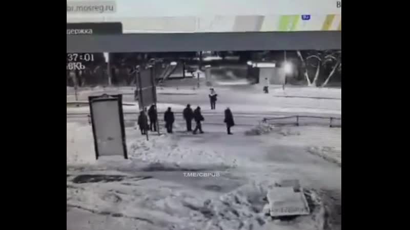 Как переходят дорогу в подмосковье